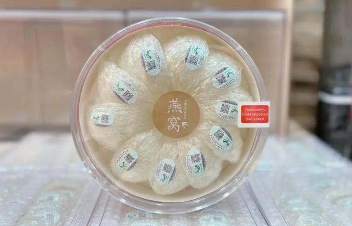 安阳滑县虫草回收店还行